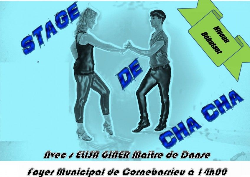 Stage de Chacha D\u00e9butant