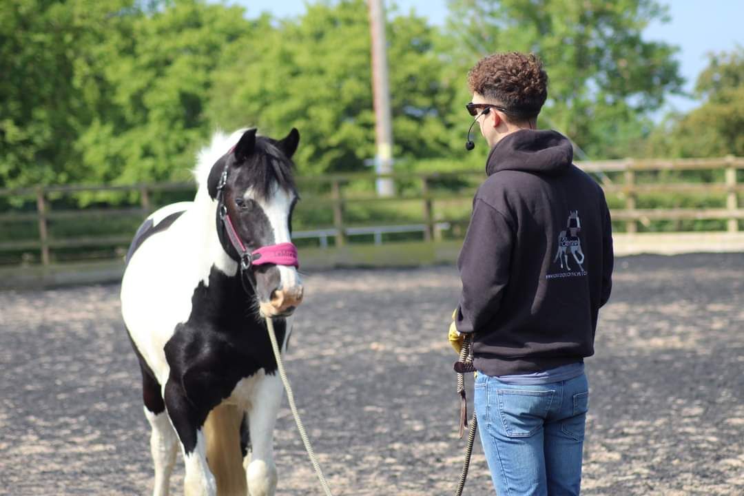 Groundwork Clinic w\/ Rosca Horsemanship at Homestead Equestrian Centre