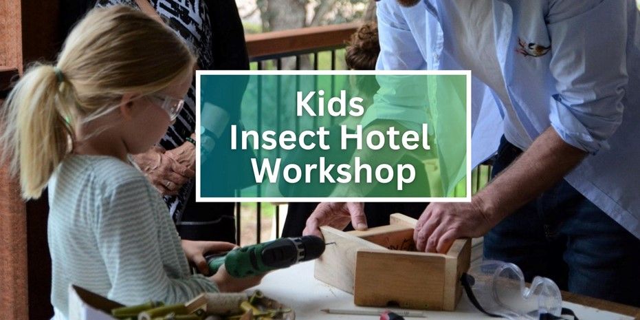 Kids Insect Hotel Workshop