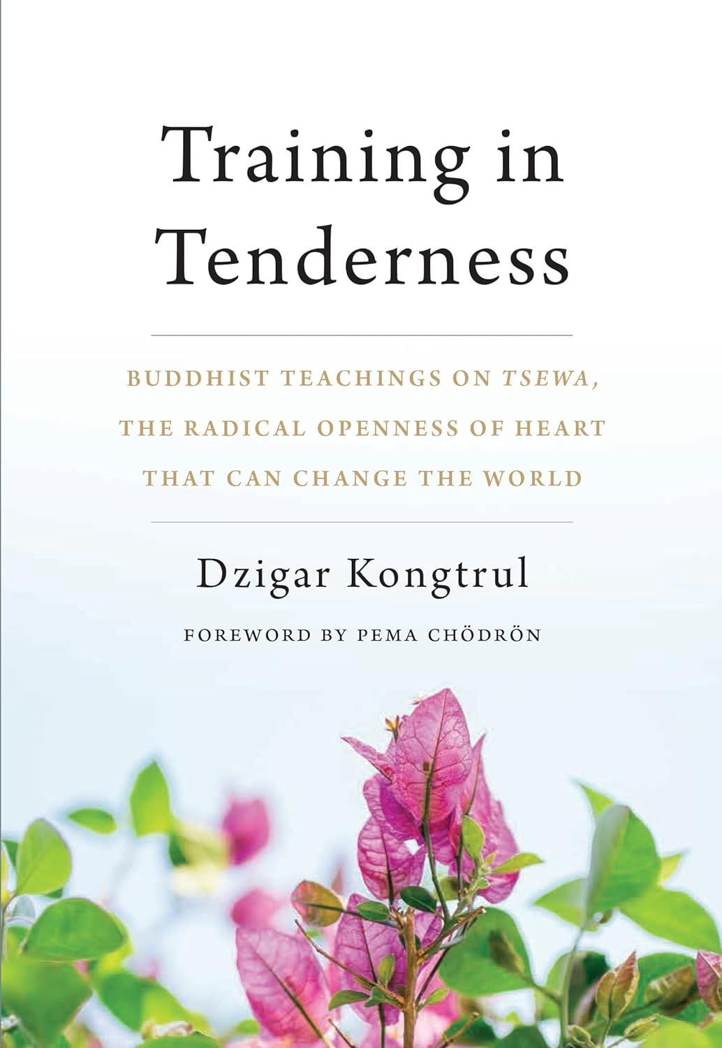 Book Discussion: Training in Tenderness: Buddhist Teaching on Tsewa by Dzigar Kongtrul