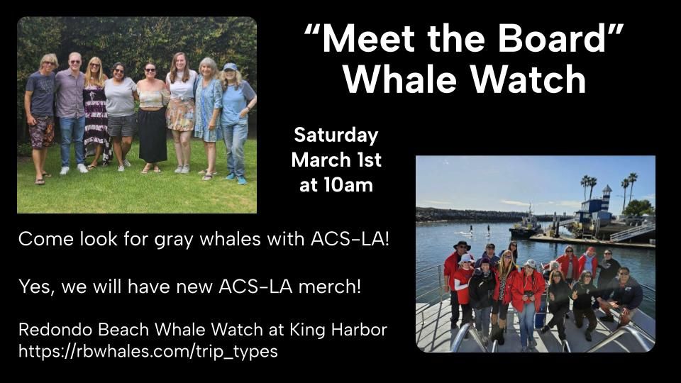 "Meet the Board" Whale Watch!