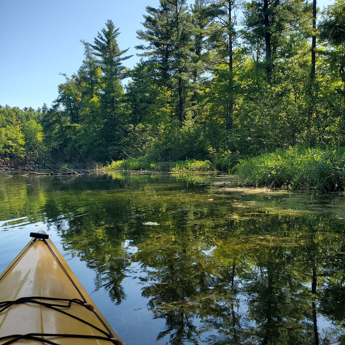 Kayaking & Relaxation techniques