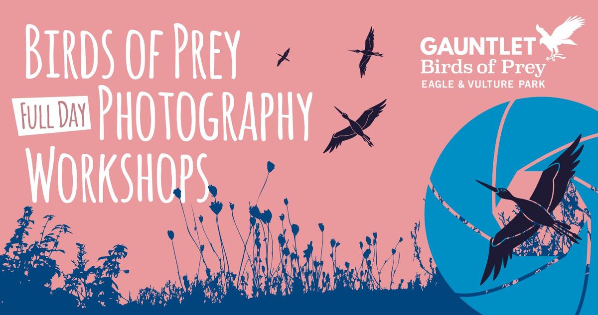 1 DAY PHOTOGRAPHY WORKSHOP with Gary Jones Wildlife Photography - Sunday 14th July, 2024