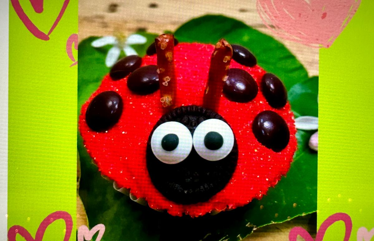 Ladybug Love Cupcake Decorating