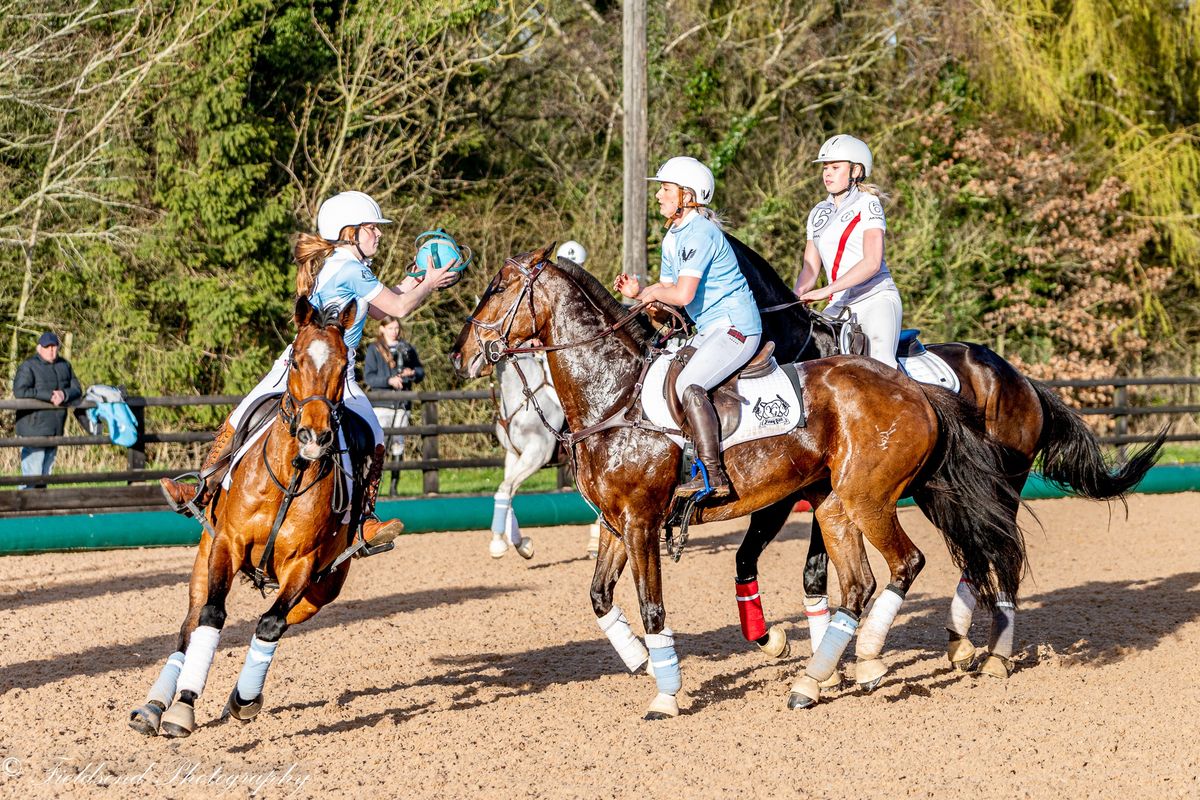 British Horseball Association British Cup Quarter-finals & British Open Summer Series