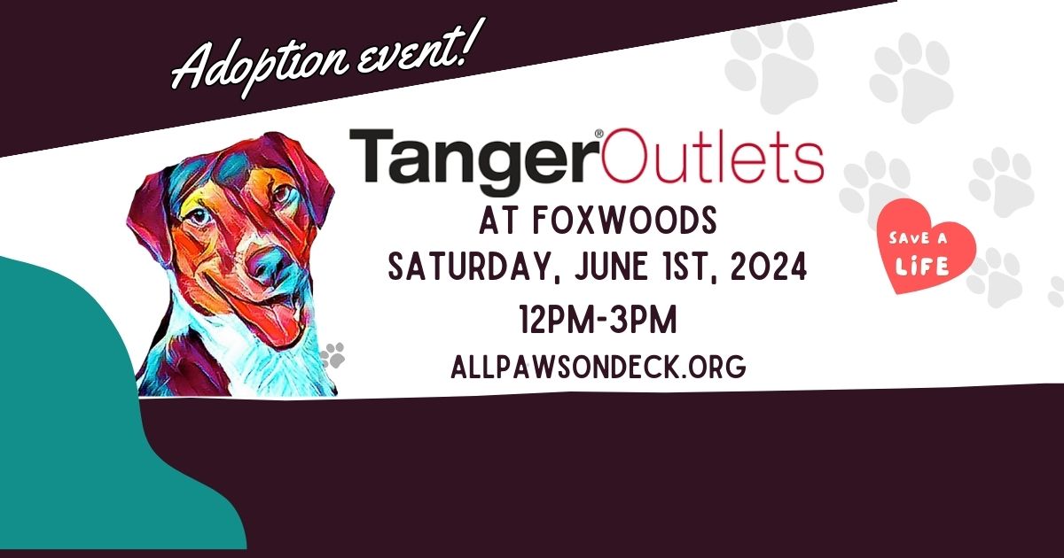 Adoption Event at Tanger Outlets - Foxwoods