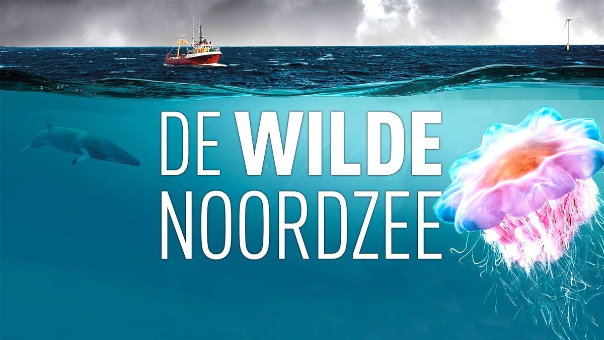 Cinema Islemunda x WFFR Lokaal: De Wilde Noordzee