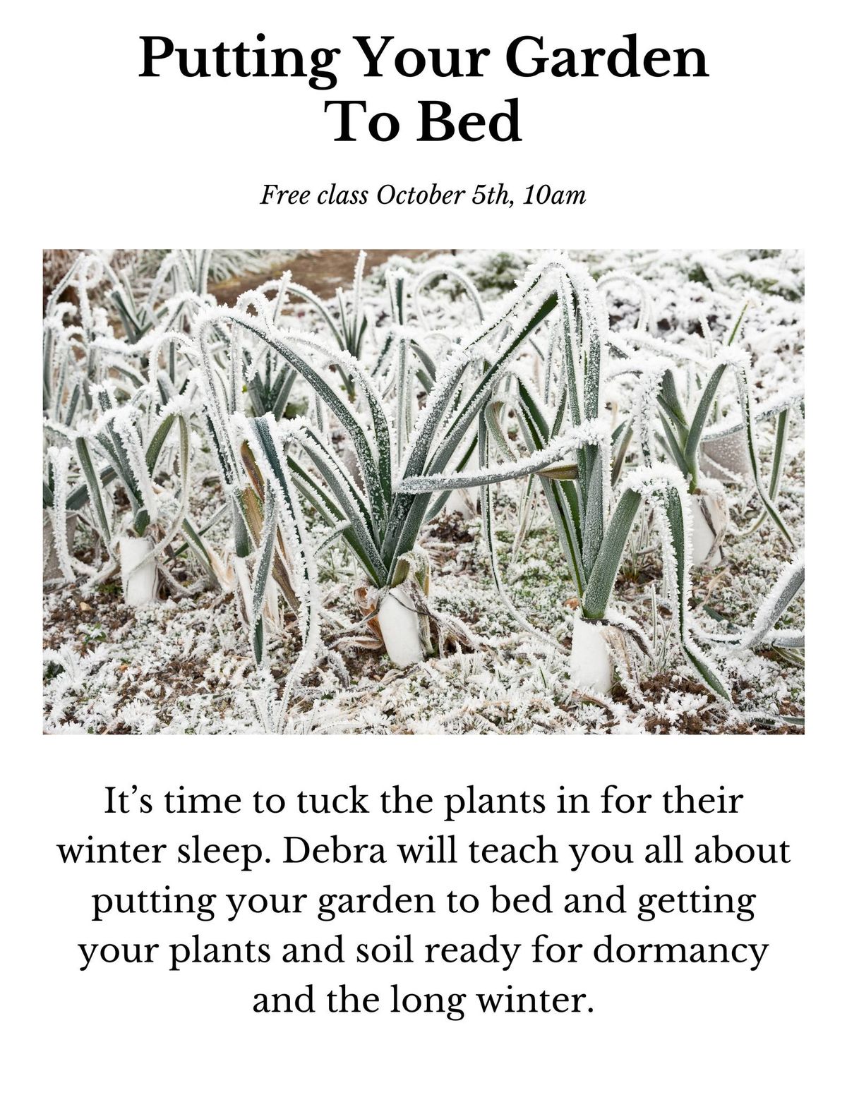 Putting Your Garden to Bed