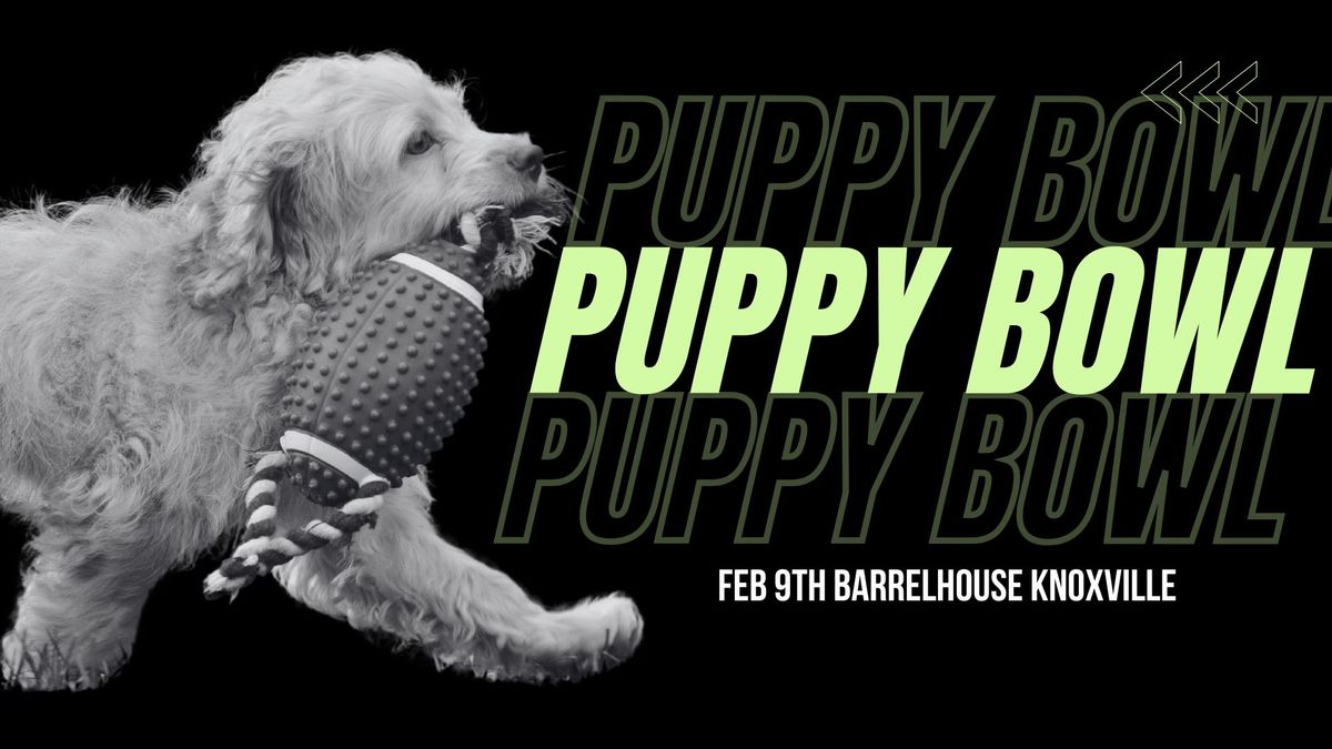 Puppy Bowl at Barrelhouse Knoxville