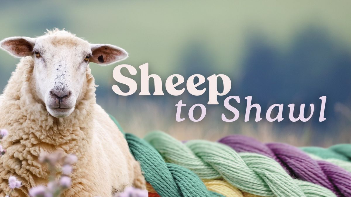 Sheep to Shawl Series: Raising Sheep - Things Ewe Never Knew