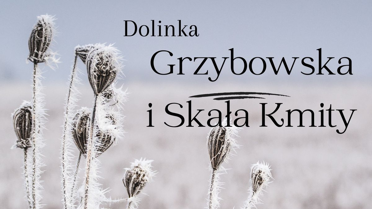 Rajd Dolinka Grzybowska i Ska\u0142a Kmity