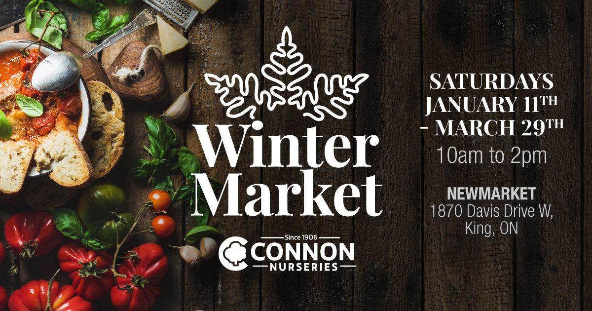 Connon Nurseries Winter Market -Newmarket