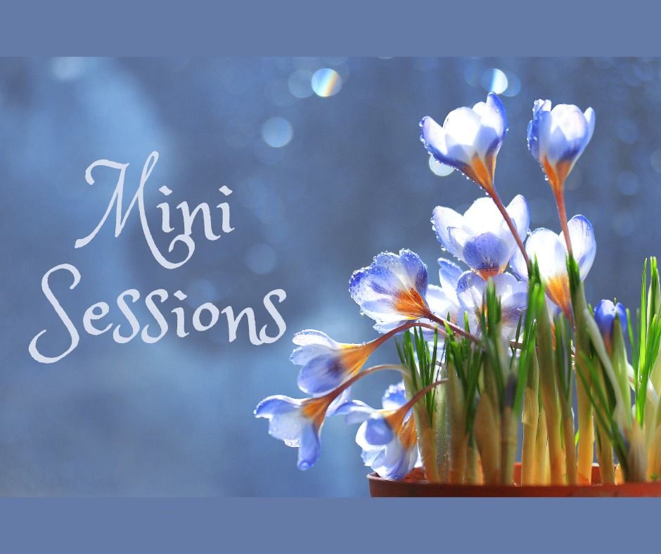 Mini Sessions: For the month of May : 20 minutes for $25