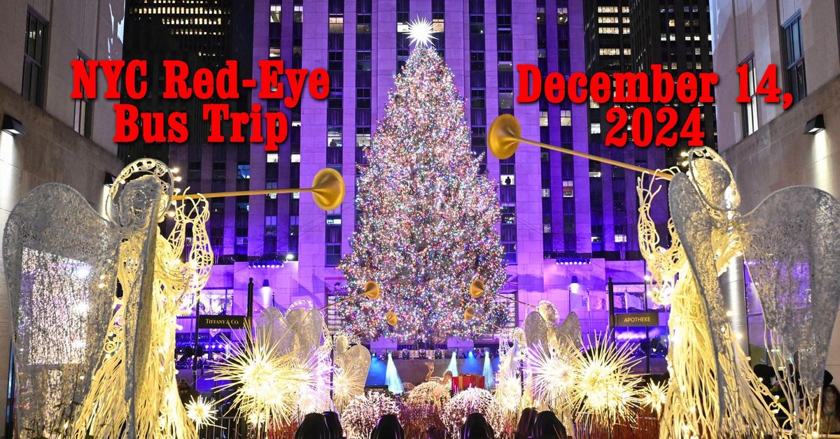 New York City Christmas Bus Trip