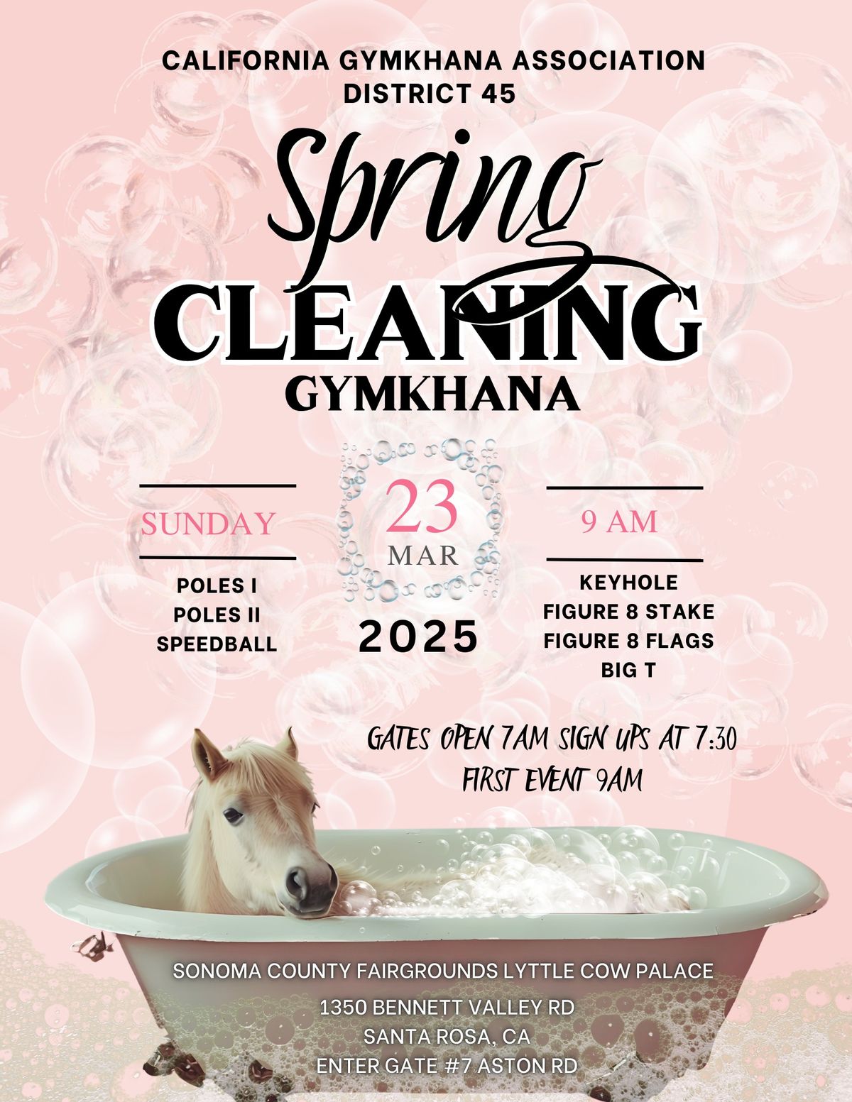 Spring Cleaning Gymkhana