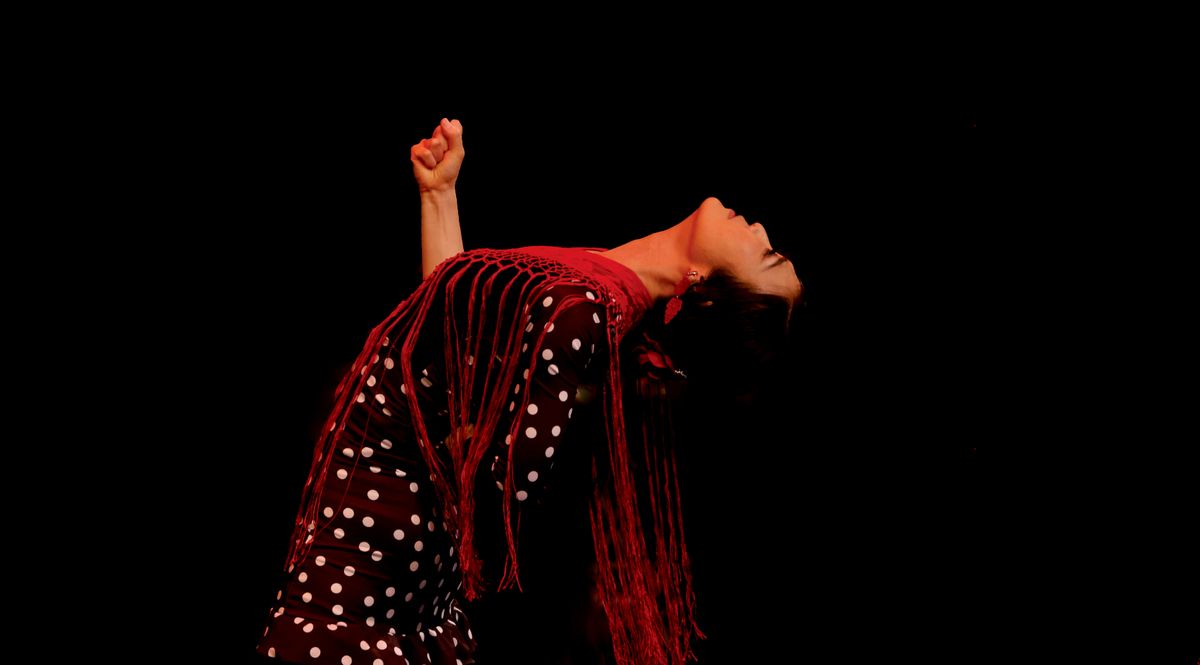 FLAMENCO LIVE