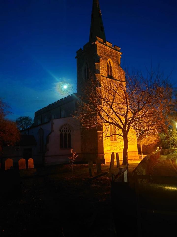 Christmas Tree Festival 2024