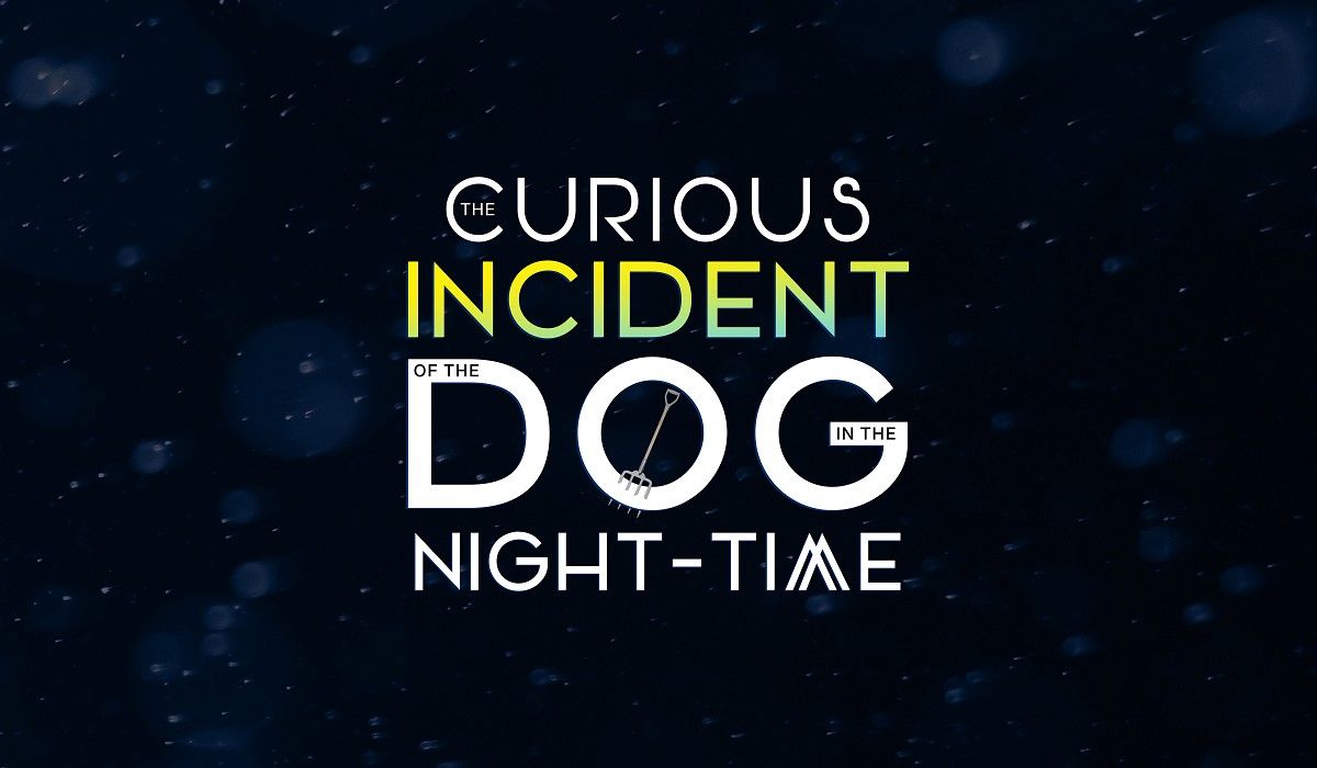 The Curious Incident of the Dog in the Night-Time