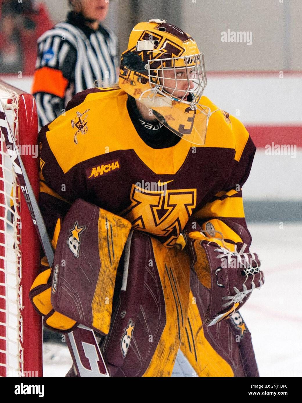 Minnesota Golden Gophers at Ohio State Buckeyes Womens Hockey