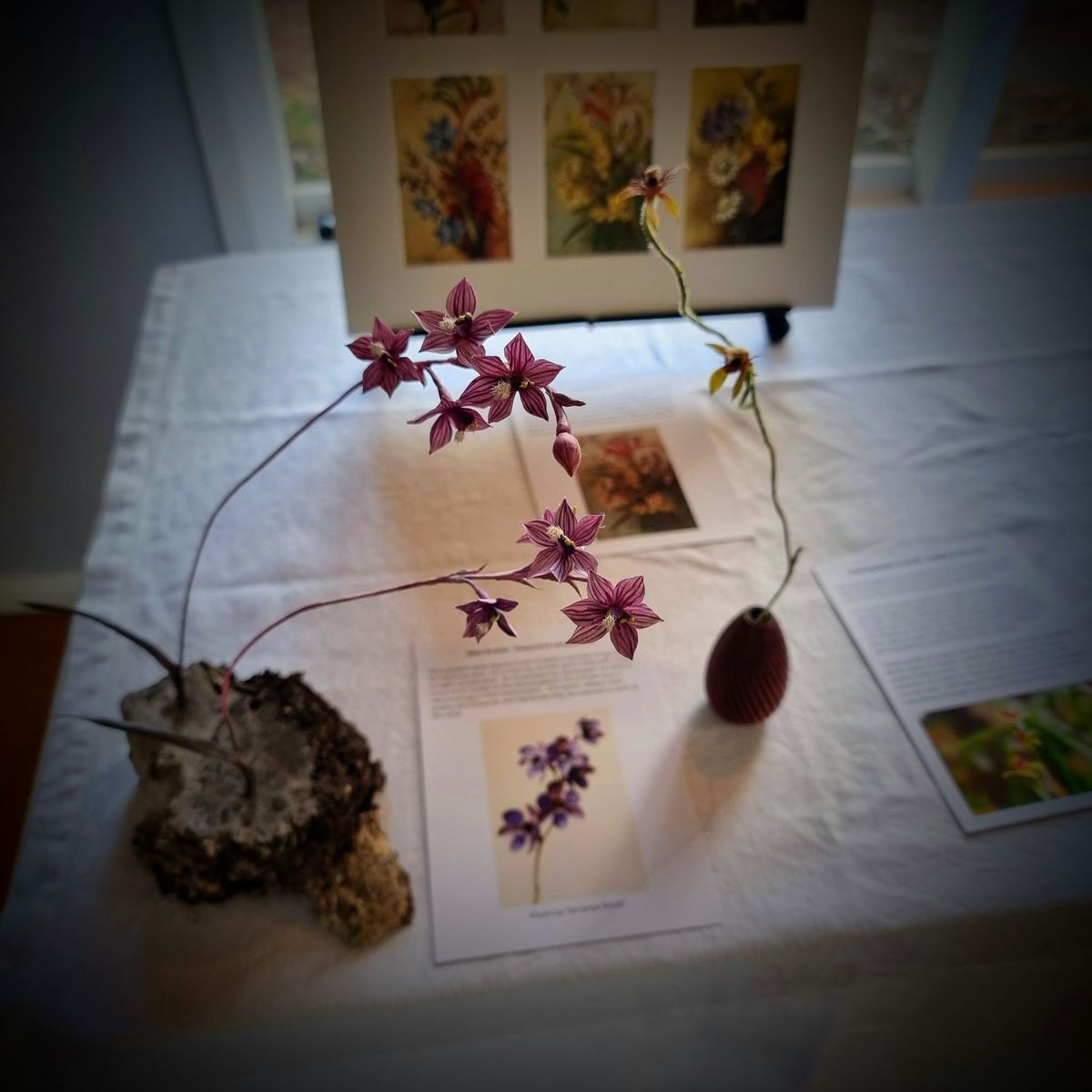 Orchids of the West: A Wildflower Art Show