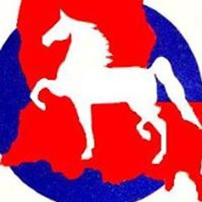 Louisiana American Saddlebred Horse Association