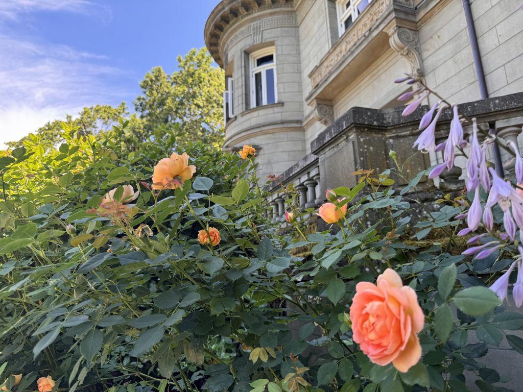 Pittock Mansion Garden Tours