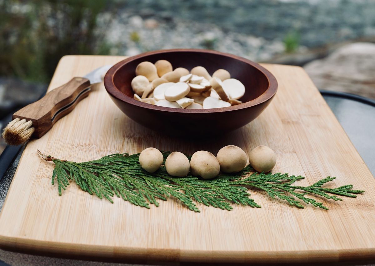 Cooking with Wild Mushrooms