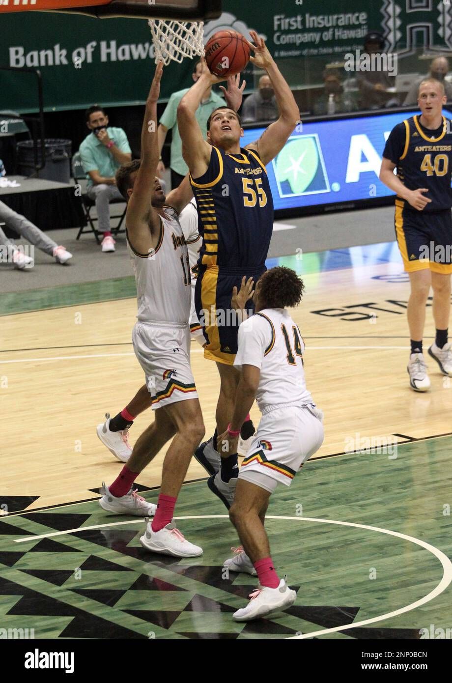 UC Irvine Anteaters at Hawaii Rainbow Warriors Mens Basketball