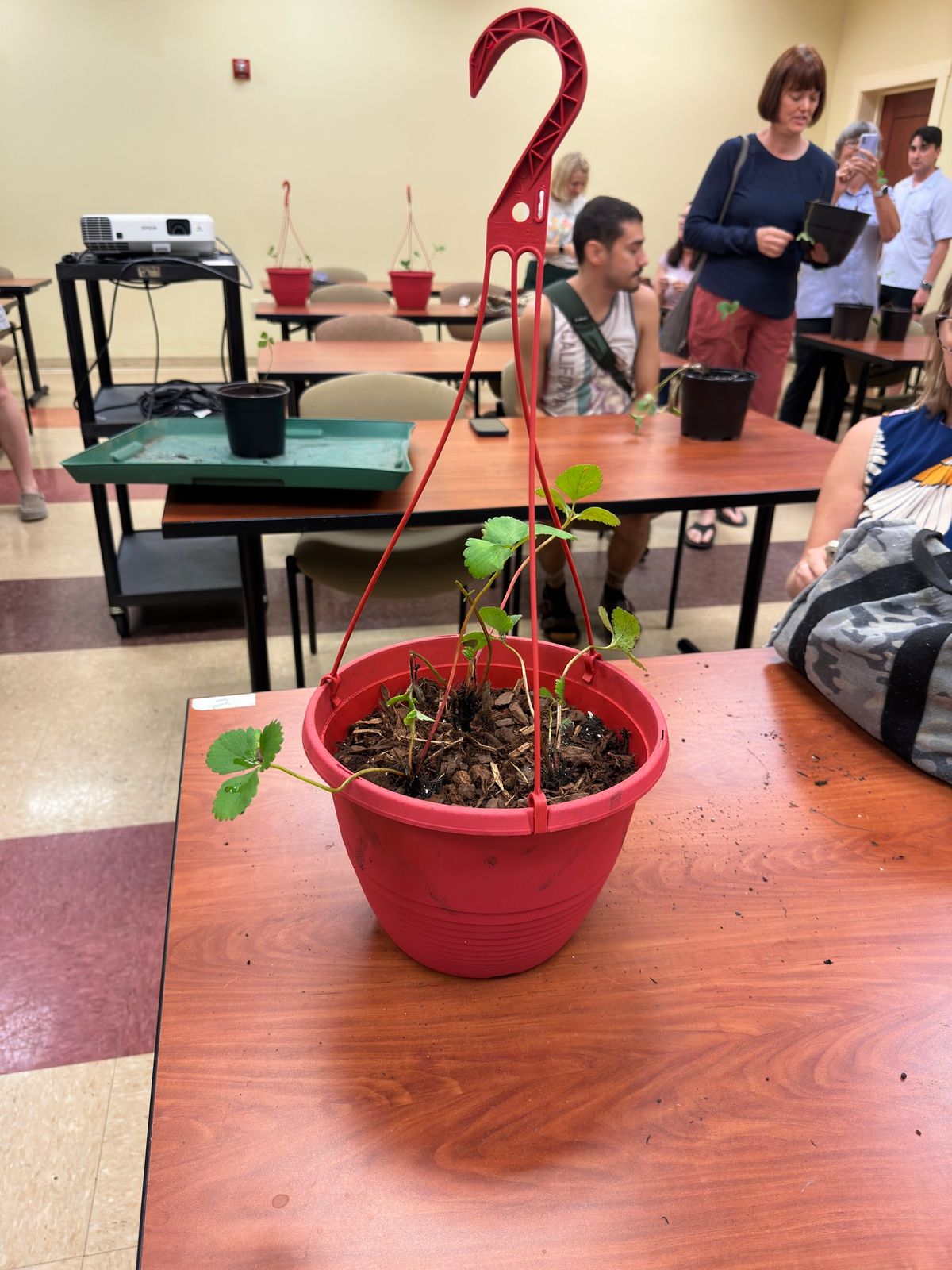 Berry Bliss: Strawberry Container Gardening