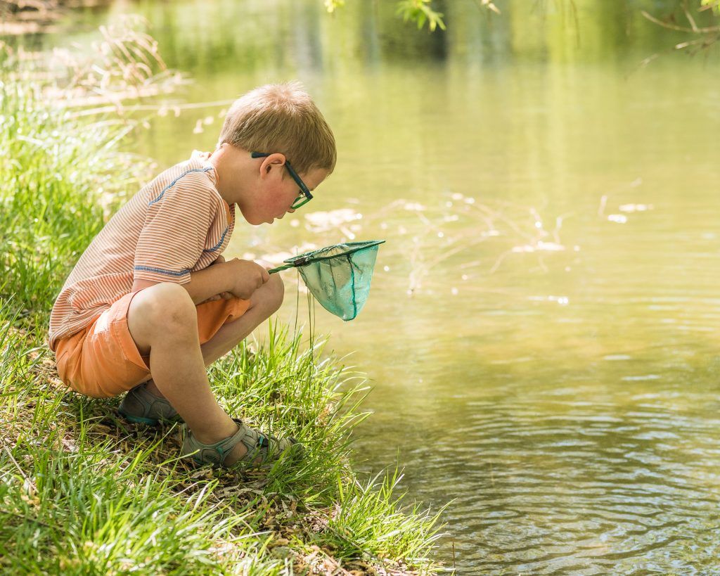 Pond Dipping