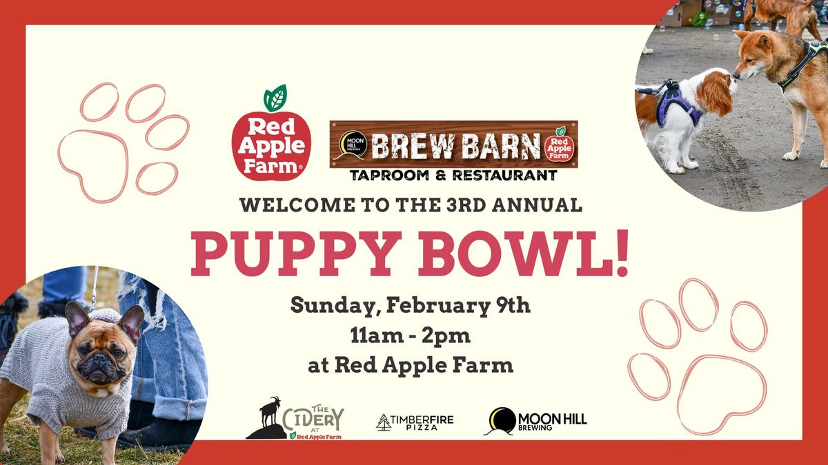 Puppy Bowl at Red Apple Farm