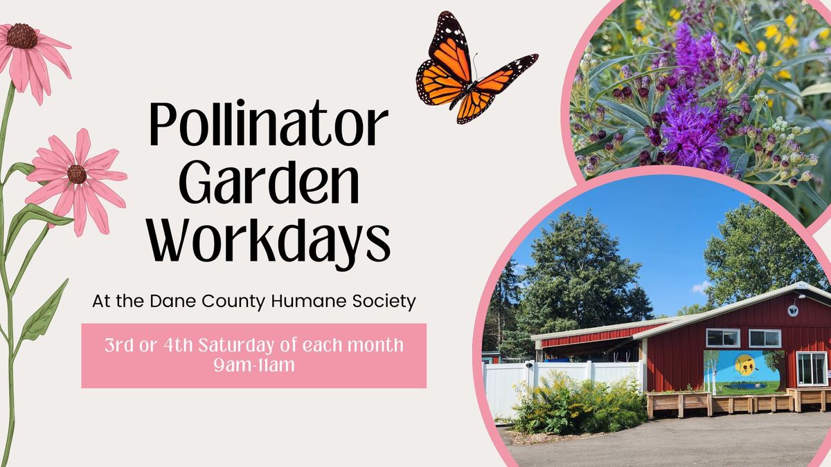 Pollinator Garden Volunteer Days at Dane County Humane Society