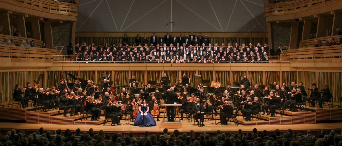 Vista Philharmonic Orchestra: Artistry Prevails