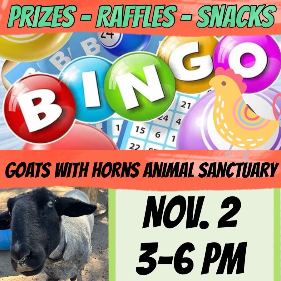 Fall Bingo Fundraiser!!