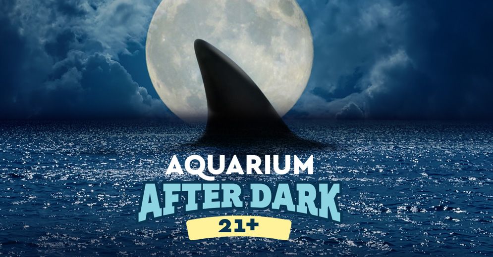 Aquarium After Dark 21+