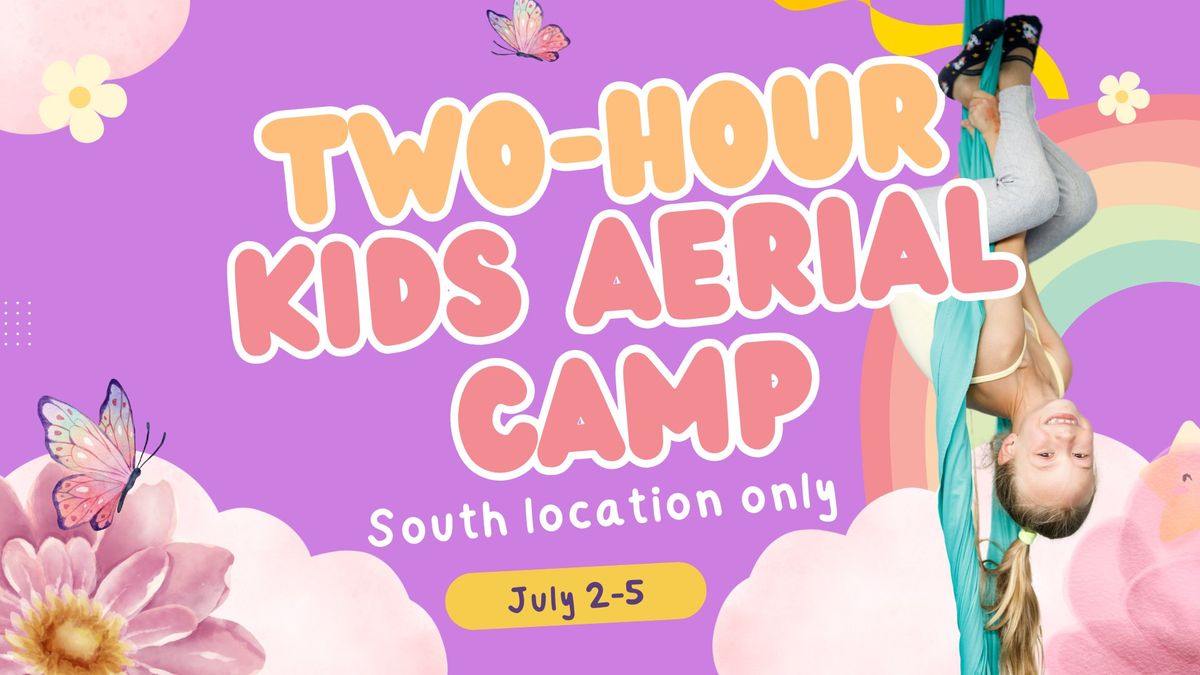 Two-Hour Kids Aerial Summer Camp