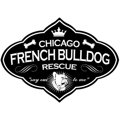 Chicago French Bulldog Rescue