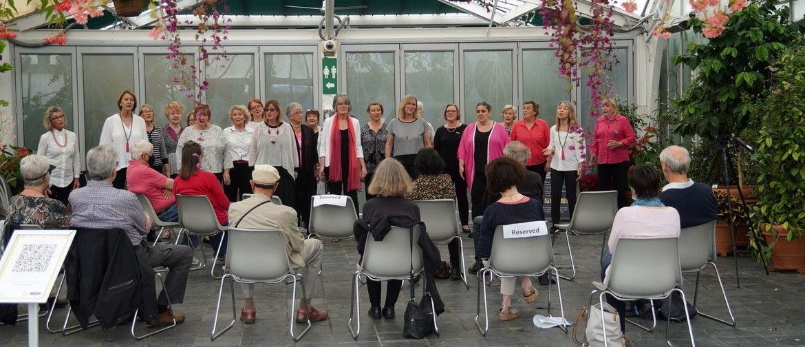 Music at the Begonia \u2013 Faultline Chorus