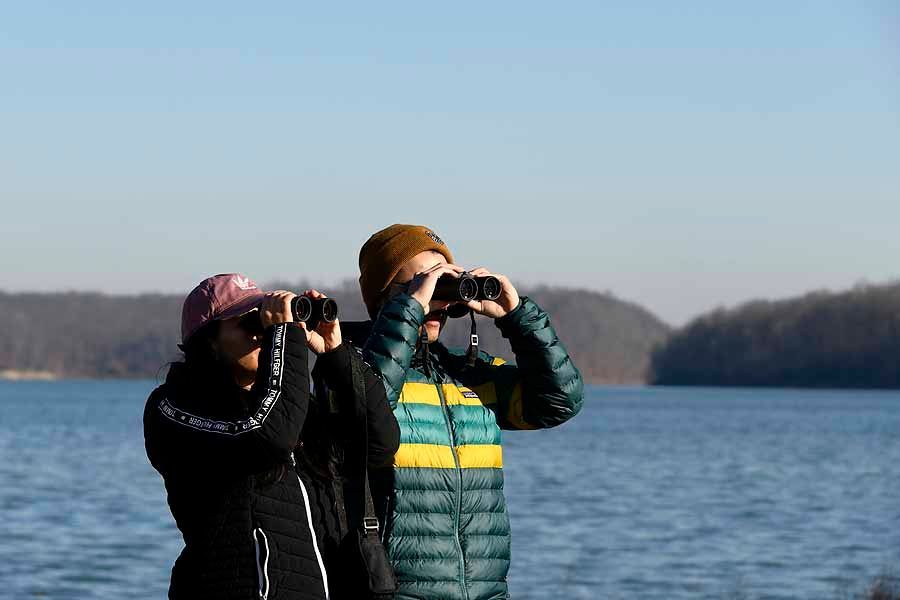 EOM 2025: Lakeshore Birding Walk