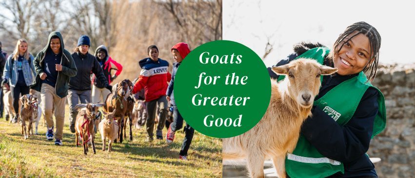 FREE Event: Goat Walk at Laurel Hill East Cemetery 