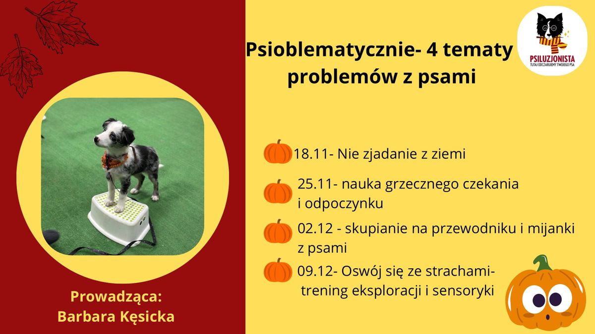 PSIOBLEMATYCZNIE- Cykl 4 spotka\u0144 tematycznych dotycz\u0105cych problem\u00f3w z psami