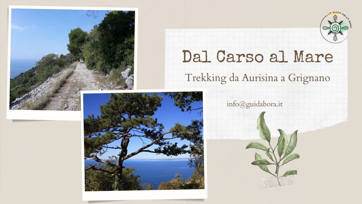 Dal Carso al mare: Trekking da Aurisina a Grignano