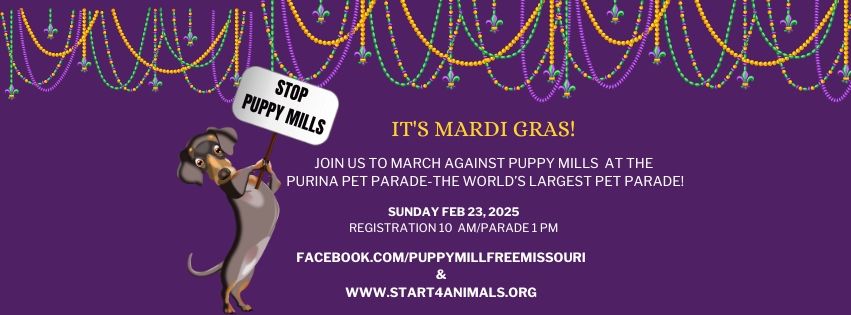 Purina Mardi Gras Pet Parade