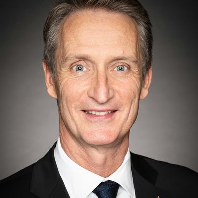 Greg McLean, Member of Parliament