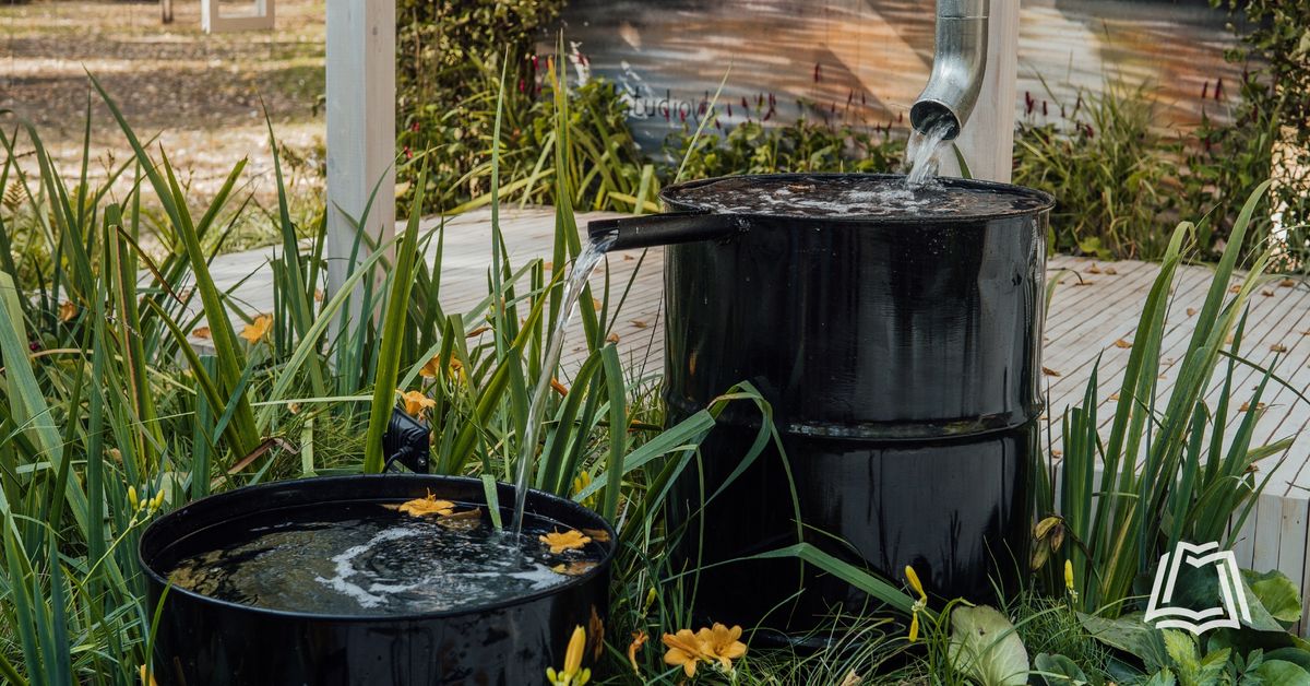 Master Gardener Series: Build Your Own Downspout Water Garden