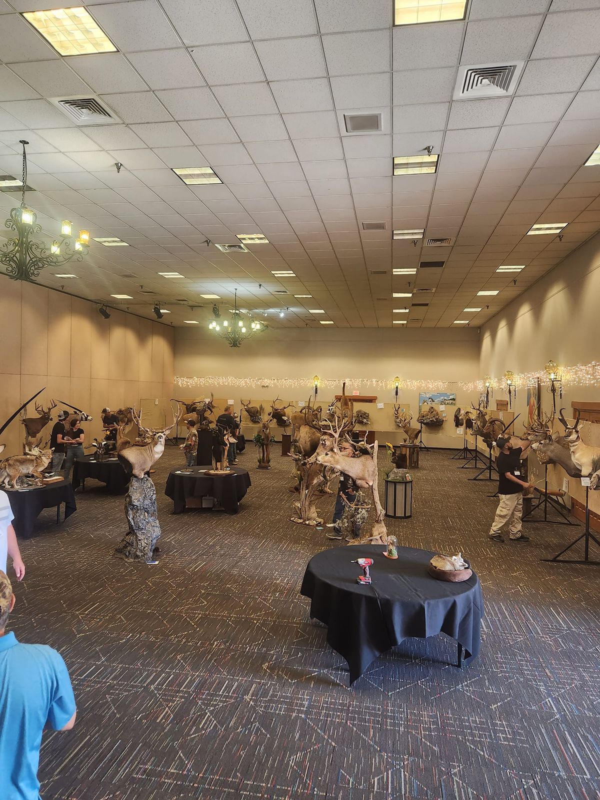 NM Taxidermy-State Convention and Competition