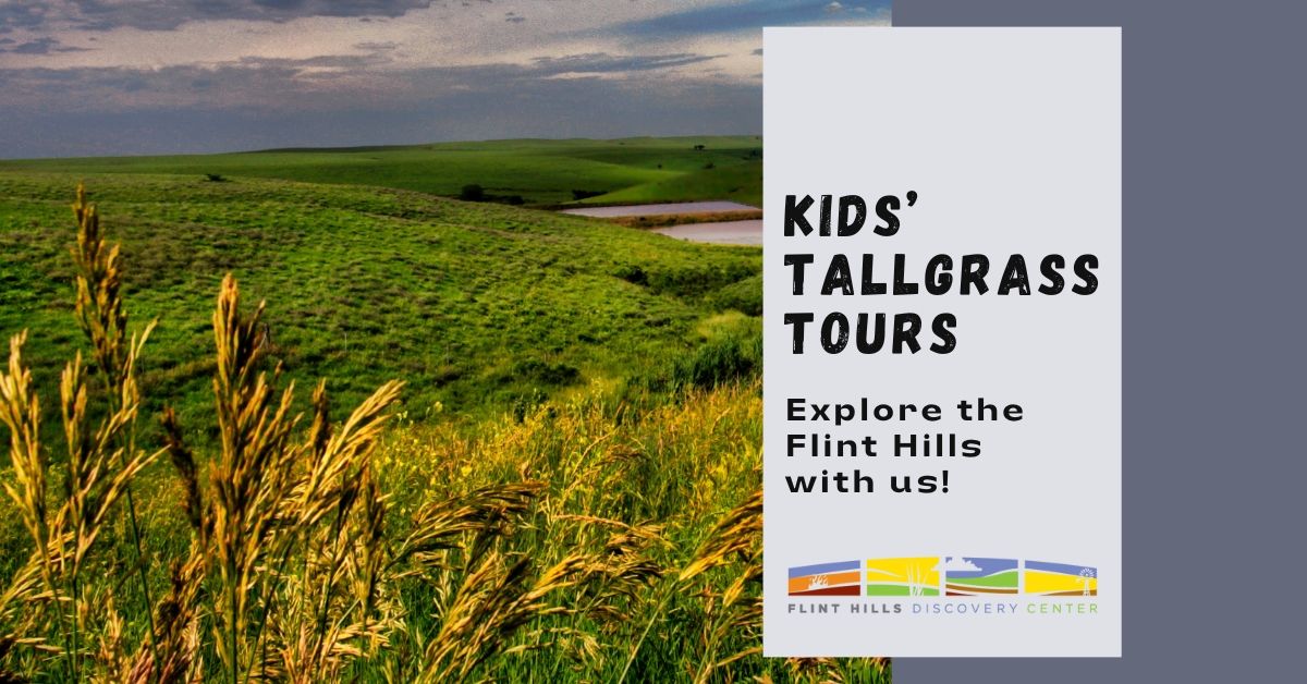 Kids' Tallgrass Tours: Historic Fort Riley