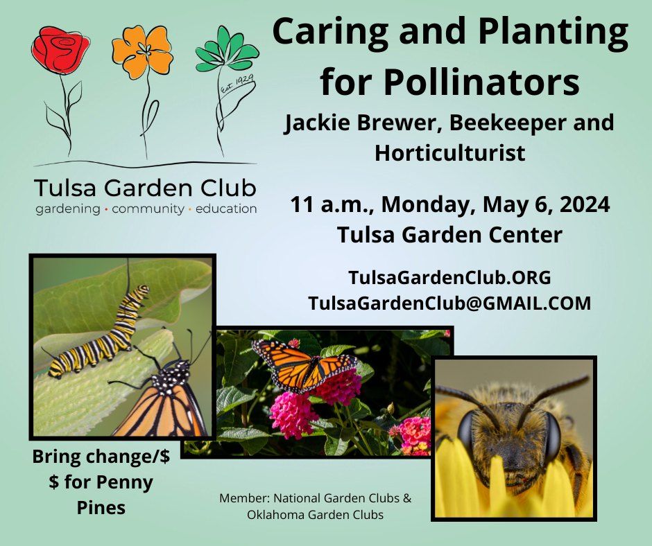 Tulsa Garden Club Member Meeting: Caring & Planting for Pollinators With Jackie Brewer