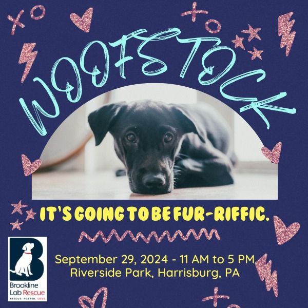 BLRR at Woofstock 2024