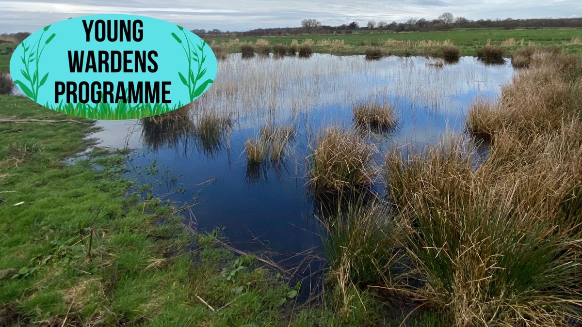 Young Wardens Programme: Scrub Clearance at Shapwick Heath NNR